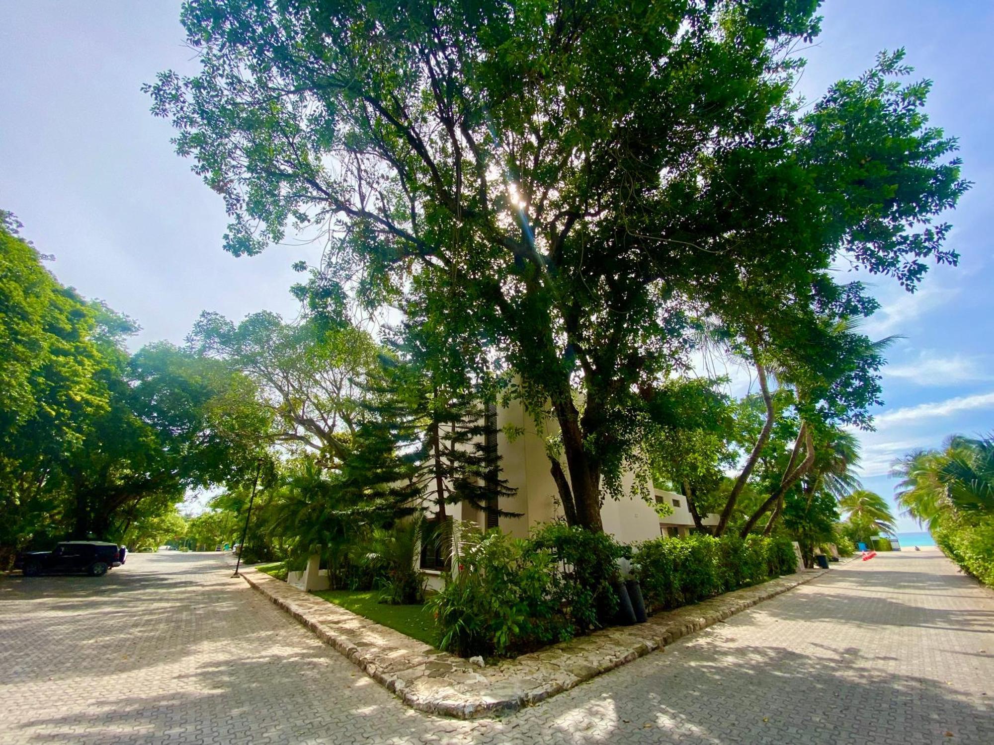 Villa Almendra Playacar 1 Playa del Carmen Ngoại thất bức ảnh